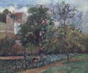 Camille Pissarro The orchard at Maubuissson,Pontoise Le verger a Maubuisson,Pontoise oil